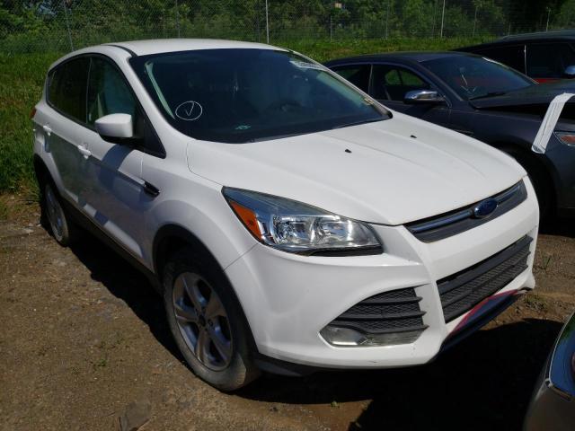 FORD ESCAPE SE 2016 with VIN 1FMCU0G76GUA04847 - Photo from auction