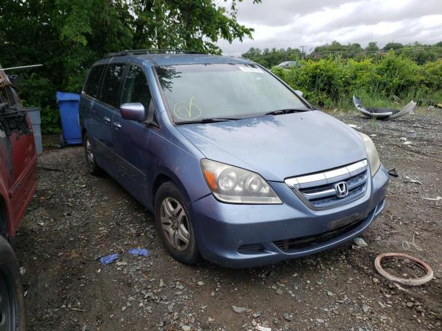 HONDA ODYSSEY 2005 with VIN 5FNRL38465B084325 - Photo from auction