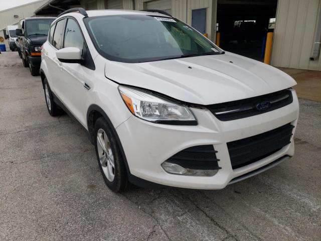 FORD ESCAPE SE 2014 with VIN 1FMCU9GX3EUB53086 - Photo from auction