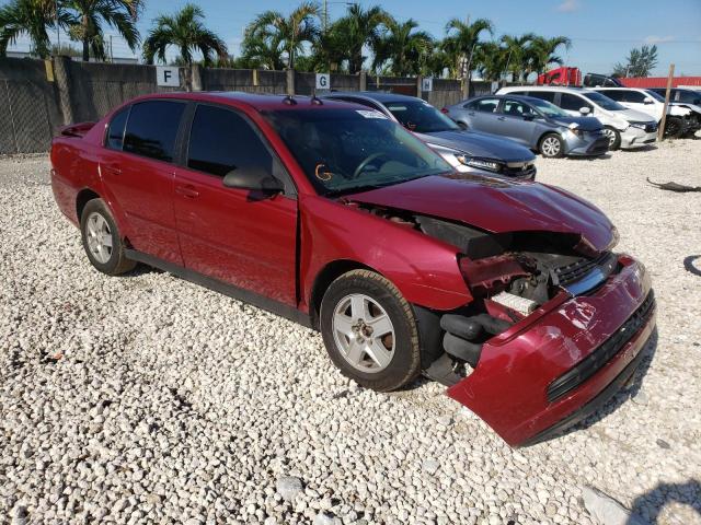 CHEVROLET MALIBU LS 2004 with VIN 1G1ZT54824F130241 - Photo from auction