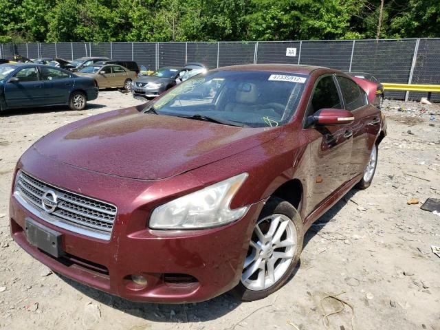 Photo 2 from auction – 2009 NISSAN MAXIMA S with VIN 1N4AA51E19C838726