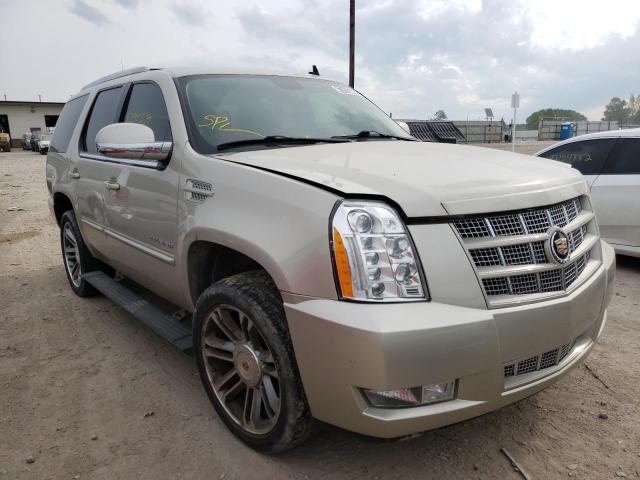 CADILLAC ESCALADE P 2013 with VIN 1GYS4CEF1DR375306 - Photo from auction