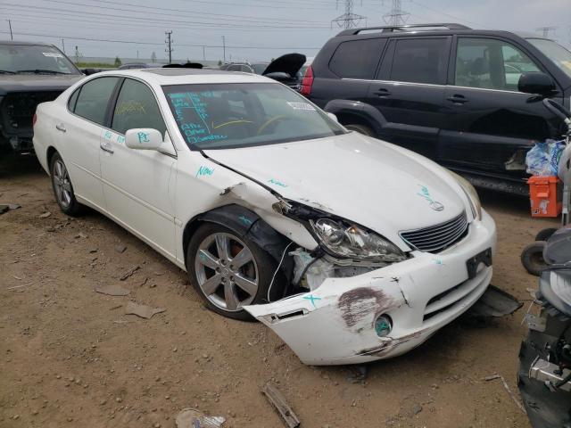 LEXUS ES 330 2006 with VIN JTHBA30G065145828 - Photo from auction
