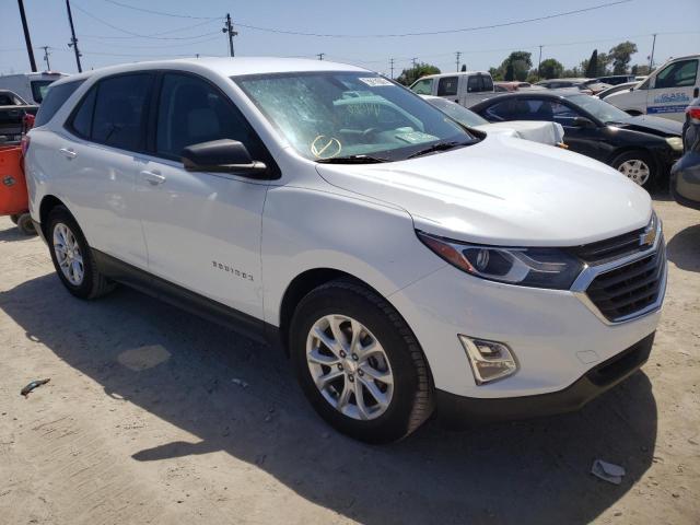 CHEVROLET EQUINOX LS 2019 with VIN 2GNAXHEV9K6177182 - Photo from auction
