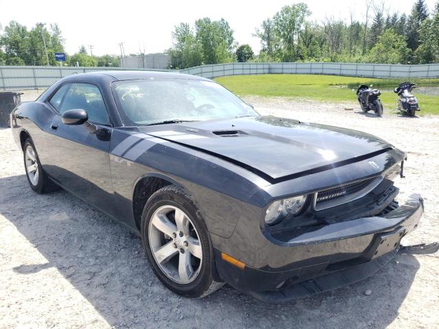 DODGE CHALLENGER 2009 with VIN 2B3LJ54T19H598752 - Photo from auction
