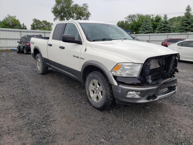 DODGE RAM 1500 2009 with VIN 1D3HV18T99S817520 - Photo from auction
