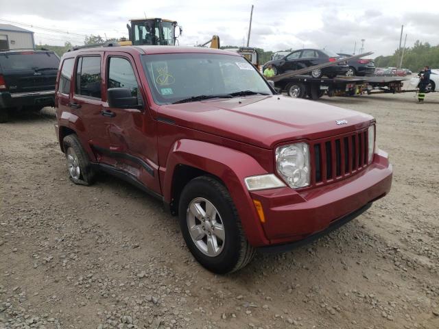 JEEP LIBERTY SP 2011 with VIN 1J4PN2GK2BW538647 - Photo from auction