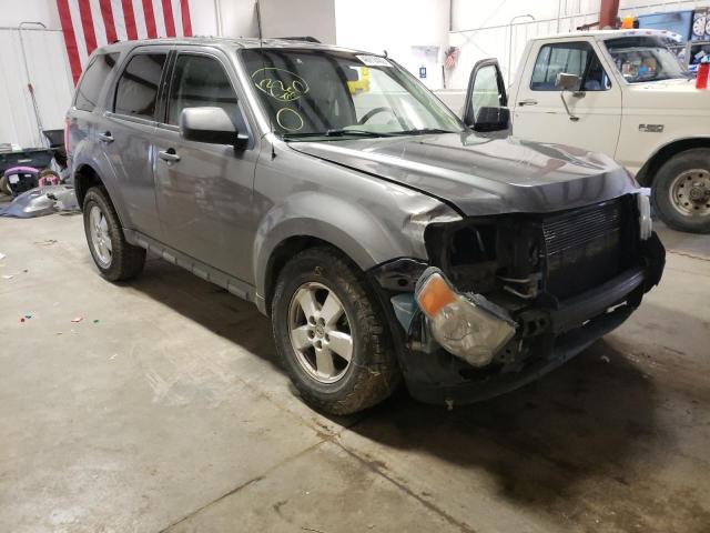 FORD ESCAPE XLT 2010 with VIN 1FMCU9DG0AKB77016 - Photo from auction