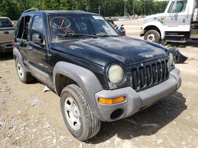 JEEP LIBERTY SP 2003 with VIN 1J4GK48K23W676578 - Photo from auction