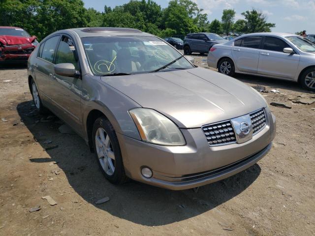NISSAN MAXIMA SE 2005 with VIN 1N4BA41E55C815037 - Photo from auction