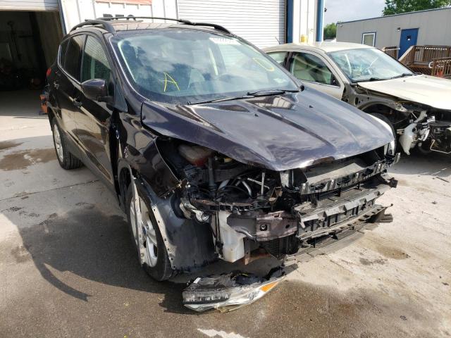FORD ESCAPE SE 2013 with VIN 1FMCU9GX2DUA84681 - Photo from auction