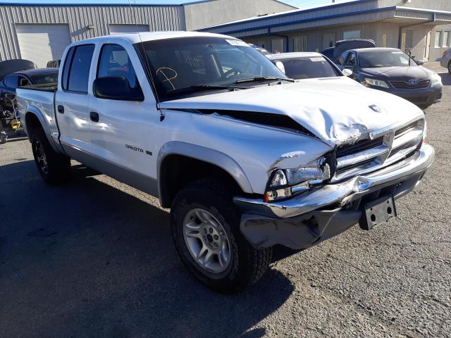 DODGE DAKOTA QUA 2001 with VIN 1B7GG2AN31S193783 - Photo from auction