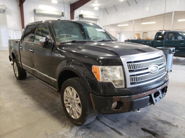 FORD F-150 2010 with VIN 1FTFW1EV6AFA03924 - Photo from auction