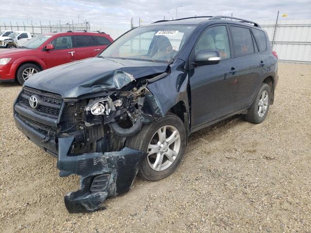 Photo 2 from auction – 2011 TOYOTA RAV4 with VIN 2T3BF4DV8BW169718