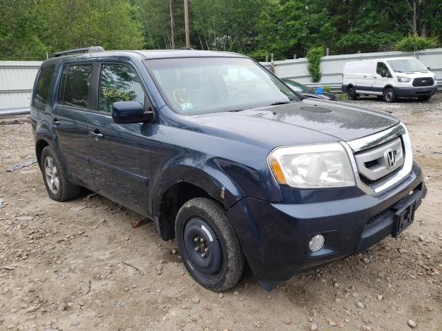 HONDA PILOT EXL 2010 with VIN 5FNYF4H53AB022263 - Photo from auction