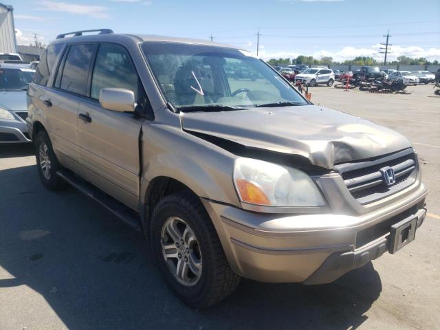 HONDA PILOT EXL 2005 with VIN 2HKYF18705H516829 - Photo from auction