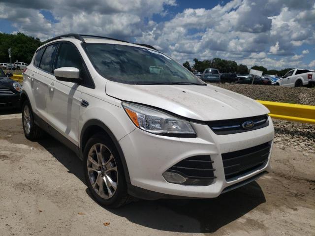 Photo 1 from auction – 2013 FORD ESCAPE SE with VIN 1FMCU0GXXDUC83330