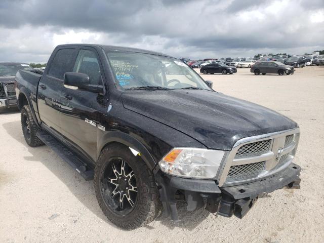 DODGE RAM 1500 2009 with VIN 1D3HV13T29S751741 - Photo from auction