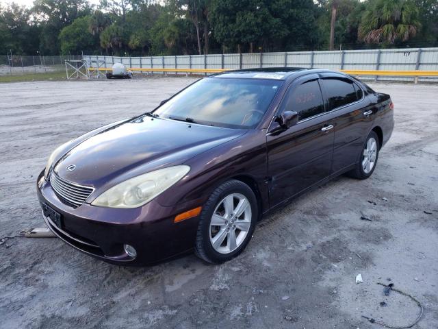 Photo 9 from auction – 2005 LEXUS ES 330 with VIN JTHBA30G255138541