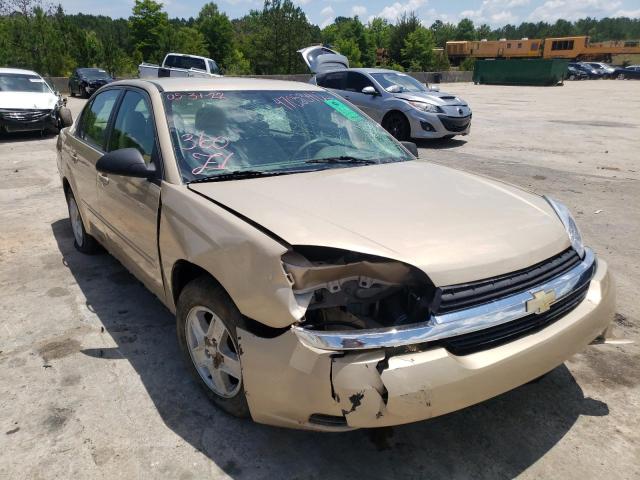 CHEVROLET MALIBU LS 2005 with VIN 1G1ZT54875F204965 - Photo from auction