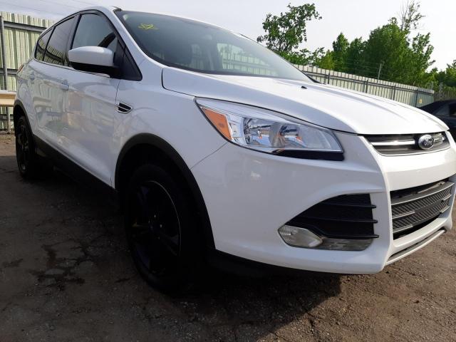 Photo 1 from auction – 2013 FORD ESCAPE SE with VIN 1FMCU0GX9DUB14271