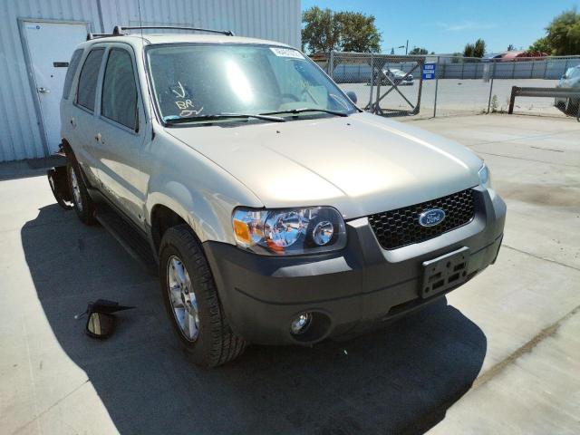 FORD ESCAPE XLT 2005 with VIN 1FMYU031X5DA26970 - Photo from auction