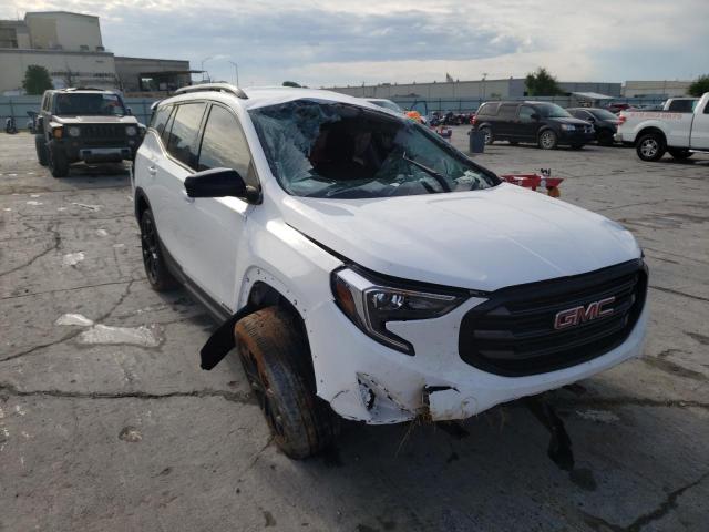 GMC TERRAIN SL 2019 with VIN 3GKALMEVXKL392289 - Photo from auction