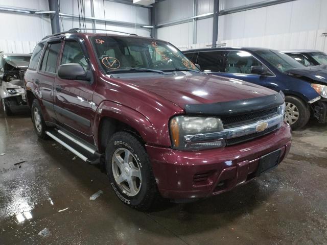 Photo 1 from auction – 2005 CHEVROLET TRAILBLAZE with VIN 1GNDT13S452121239