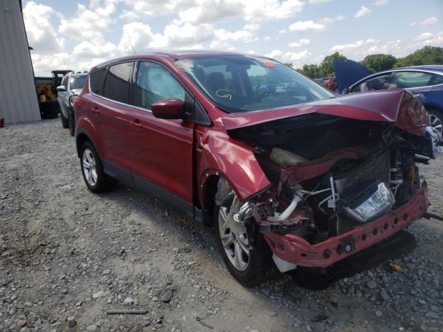 FORD ESCAPE SE 2014 with VIN 1FMCU0G97EUE21036 - Photo from auction
