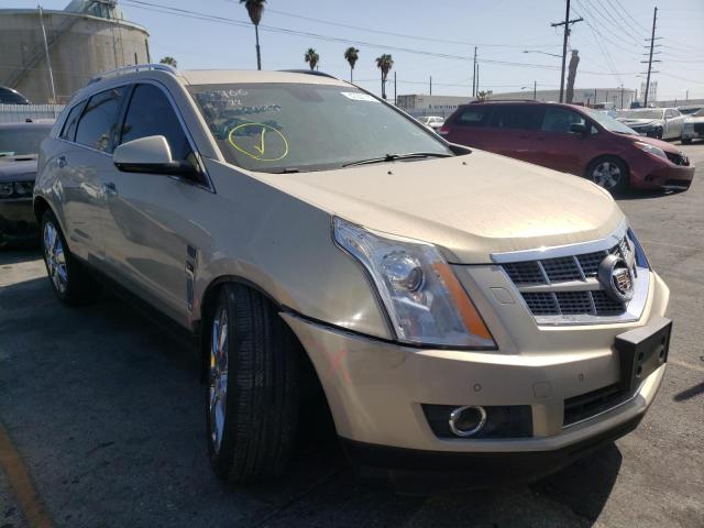 CADILLAC SRX PREMIU 2012 z numerem VIN 3GYFNCE36CS504365 - Zdjęcie z aukcji