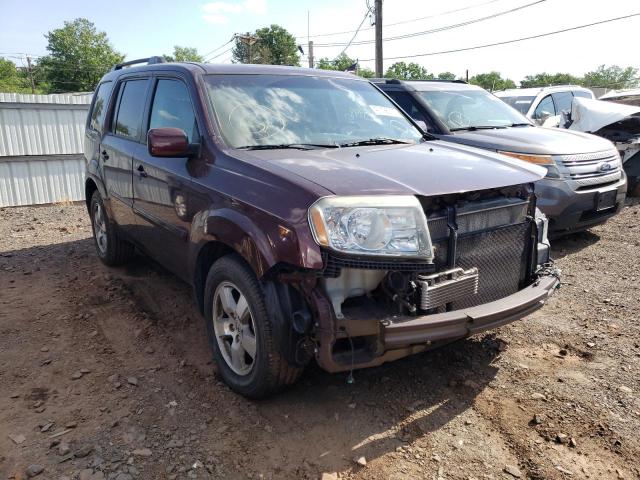 HONDA PILOT EXL 2011 with VIN 5FNYF4H65BB082524 - Photo from auction