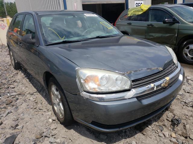 CHEVROLET MALIBU 2005 with VIN 1G1ZT64825F142848 - Photo from auction