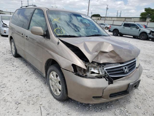 HONDA ODYSSEY EX 2003 with VIN 5FNRL18003B039542 - Photo from auction