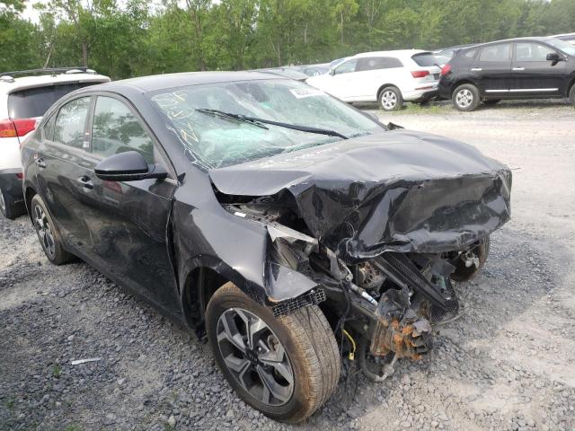 KIA FORTE FE 2019 with VIN 3KPF24AD1KE024055 - Photo from auction