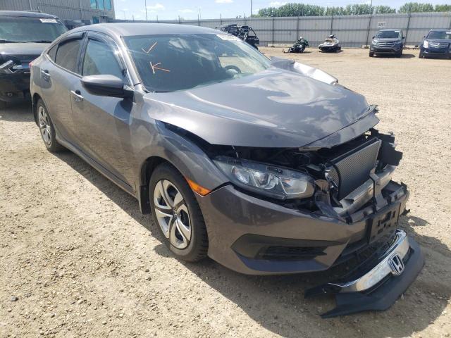 HONDA CIVIC LX 2016 with VIN 2HGFC2F59GH013126 - Photo from auction