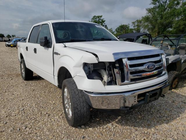 FORD F-150 2010 with VIN 1FTEW1E83AFA90316 - Photo from auction
