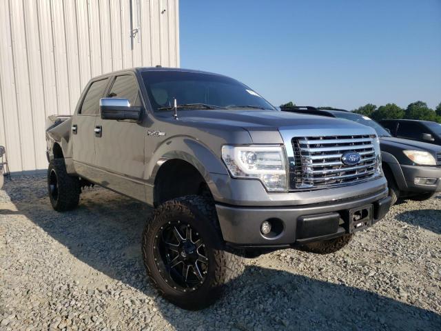 FORD F150 SUPER 2010 with VIN 1FTEW1C84AFC09736 - Photo from auction