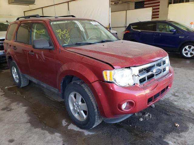FORD ESCAPE XLT 2009 with VIN 1FMCU03719KB01782 - Photo from auction