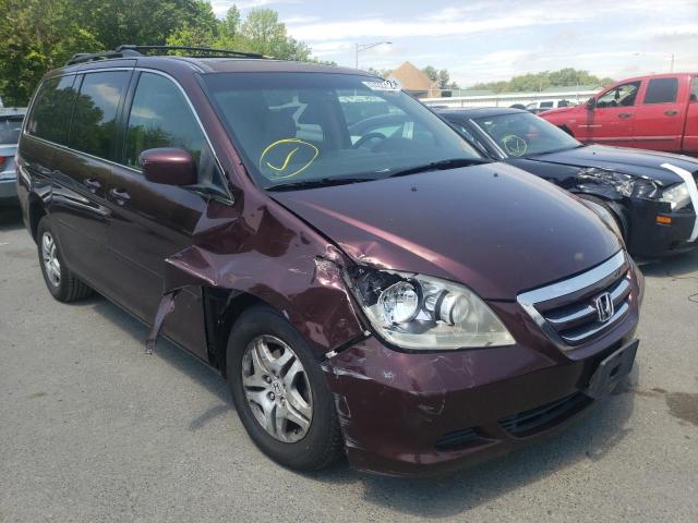 HONDA ODYSSEY EX 2007 with VIN 5FNRL38707B431967 - Photo from auction