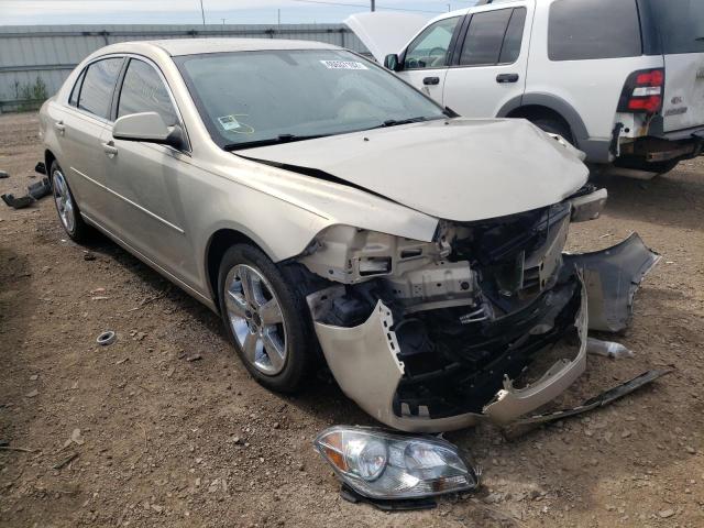 CHEVROLET MALIBU 2LT 2010 with VIN 1G1ZD5EB7AF309328 - Photo from auction