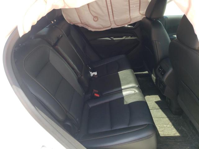 Photo 6 from auction – 2021 CHEVROLET EQUINOX PR with VIN 3GNAXXEV0MS105284