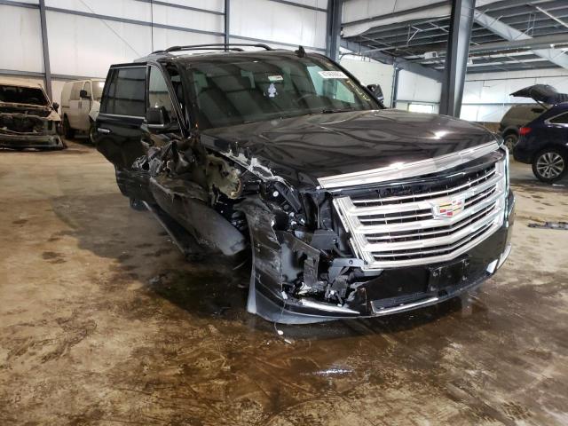 CADILLAC ESCALADE P 2020 with VIN 1GYS4DKJXLR184495 - Photo from auction