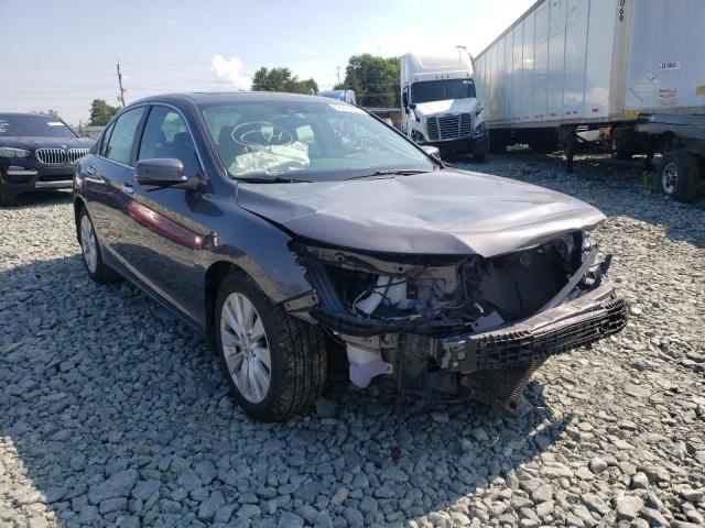 HONDA ACCORD EXL 2014 with VIN 1HGCR2F81EA307031 - Photo from auction
