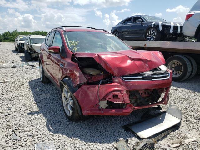 FORD ESCAPE TIT 2014 with VIN 1FMCU0J90EUC36593 - Photo from auction
