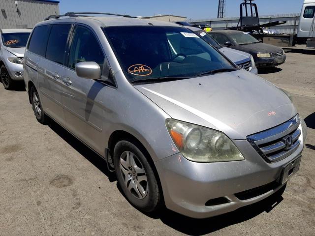 HONDA ODYSSEY EX 2007 with VIN 5FNRL38407B411921 - Photo from auction