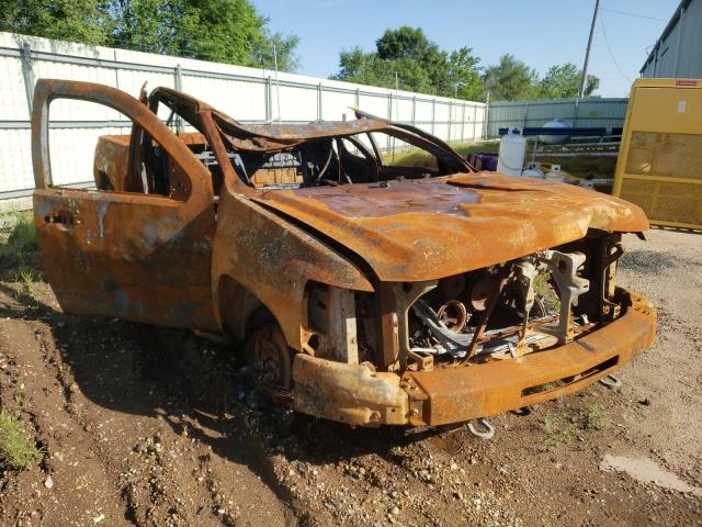 CHEVROLET SILVERADO 2010 with VIN 1GCSKTE3XAZ137855 - Photo from auction