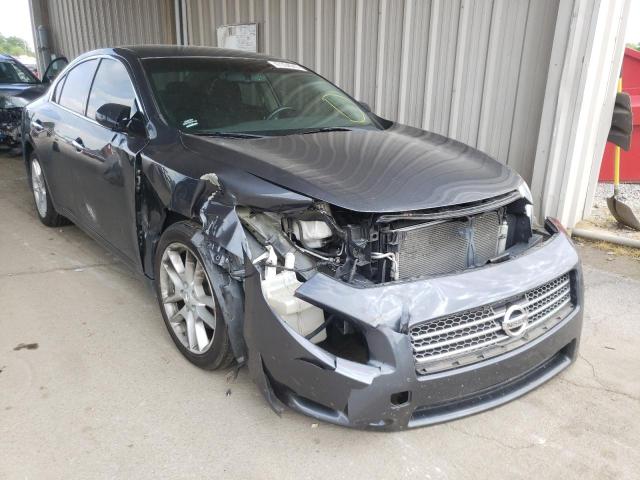 NISSAN MAXIMA S 2010 with VIN 1N4AA5AP1AC846282 - Photo from auction