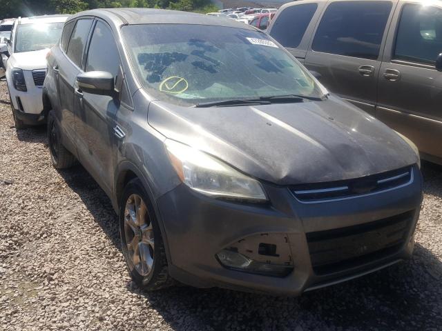 FORD ESCAPE SEL 2013 with VIN 1FMCU0HX2DUD07859 - Photo from auction