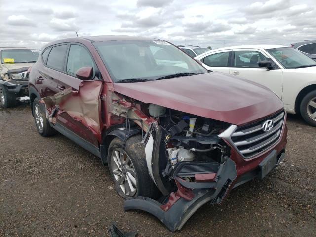 HYUNDAI TUCSON SE 2017 with VIN KM8J23A40HU346342 - Photo from auction