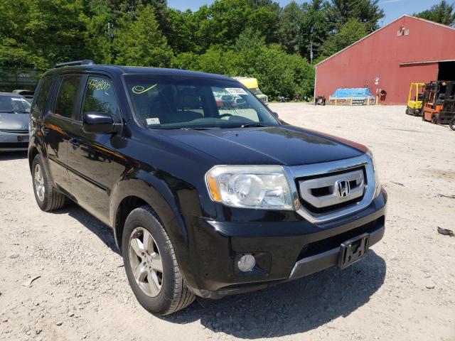 HONDA PILOT EXL 2010 with VIN 5FNYF4H50AB023208 - Photo from auction